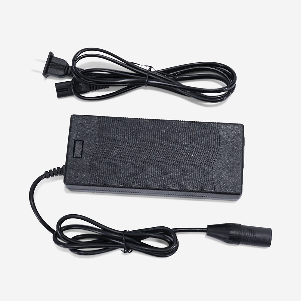 Battery Charger for M4